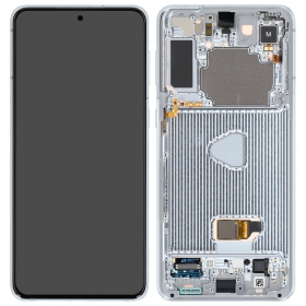 Samsung Galaxy S21+ Display (Silbrig) (mit Rahmen) (original)