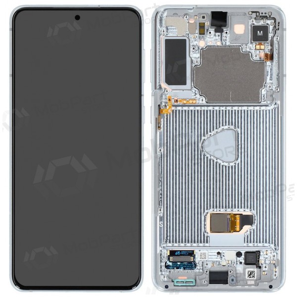 Samsung Galaxy S21+ Display (Silbrig) (mit Rahmen) (original)